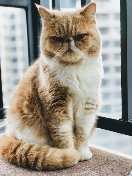 乾淨無壓環境
